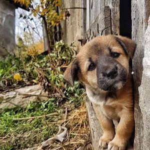 Meet your Posher, Letha